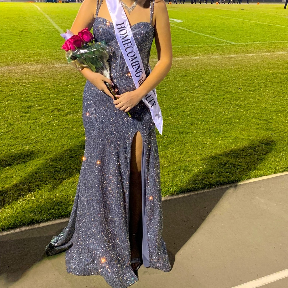 Cinderella Slate Iridescent Formal Gown